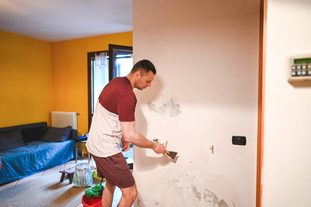 Best Commercial Mold Removal  in Portales, NM